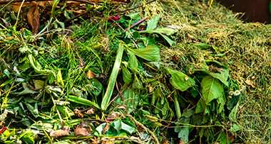 a pile of green waste comprised of grass clippings and pruned plants